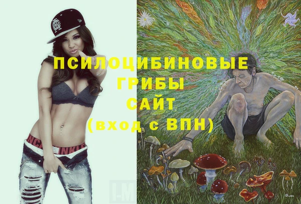 PSILOCYBIN Елизово